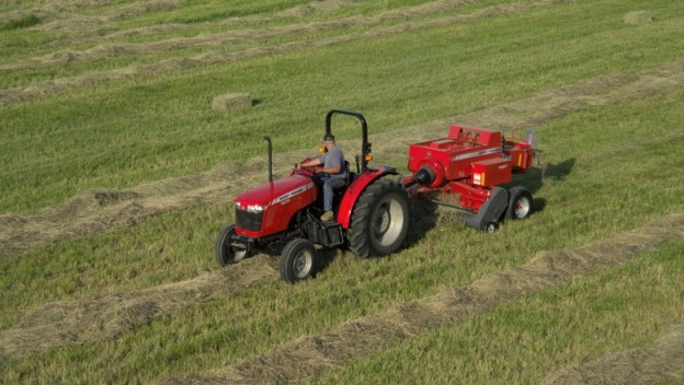 agricola